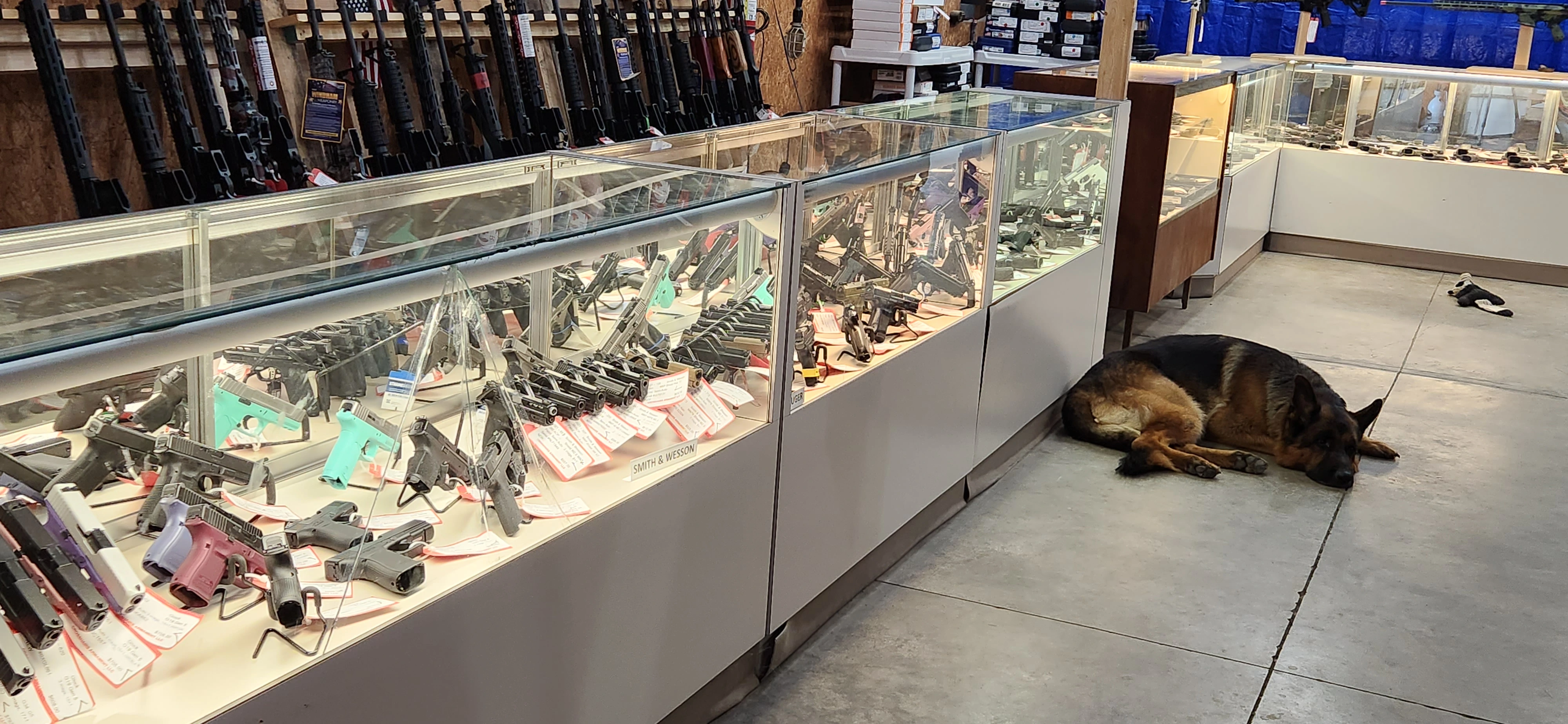 A selection of rifles and shotguns mounted on wall display in Crosshairs Armament LLC.
